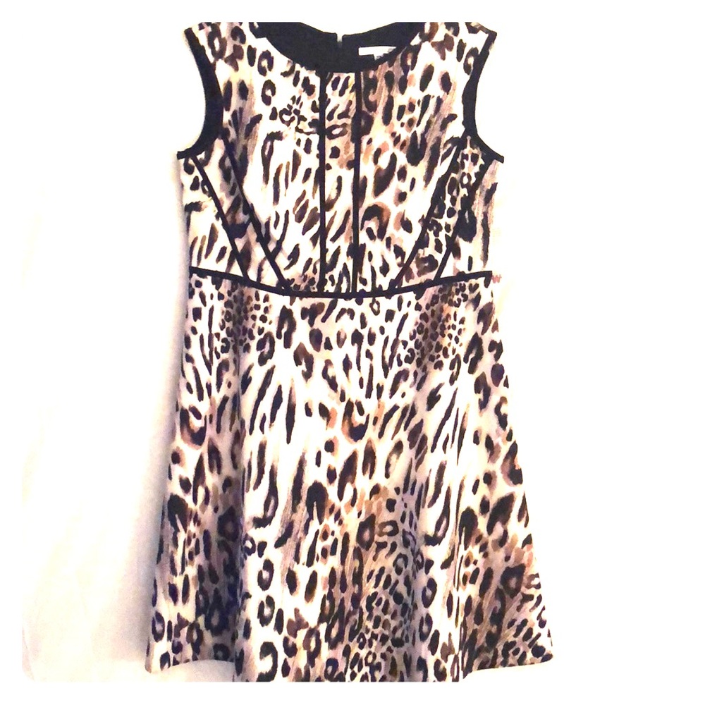 Studio One Leopard Print Sleeveless A-Line Dress